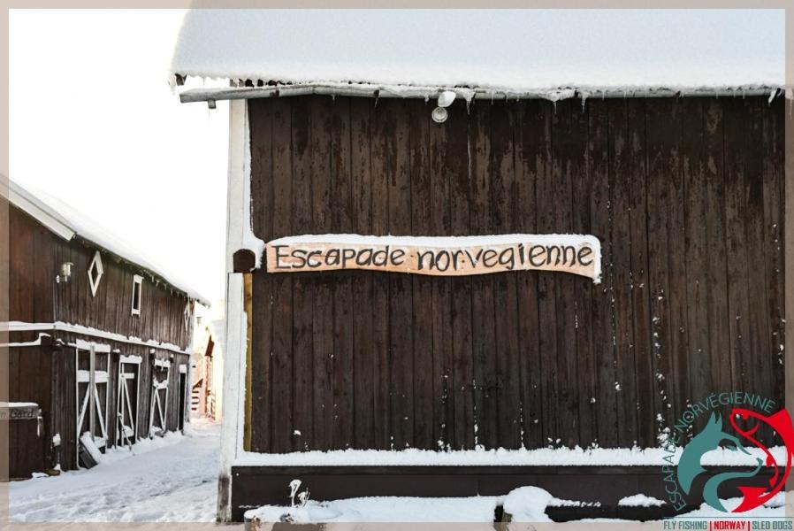 Ferienwohnung Escapade Norvegienne Tolga Exterior foto