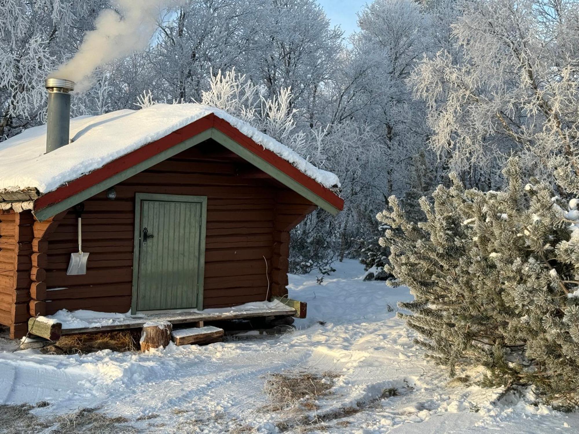 Ferienwohnung Escapade Norvegienne Tolga Exterior foto